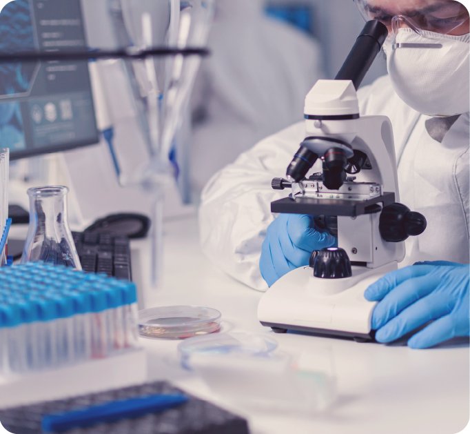 Notre Équipe MEA BRIDGES