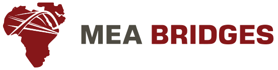 MEA Bridges Logo